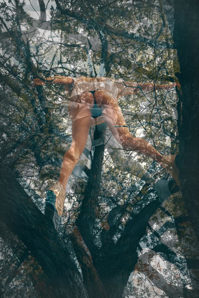 Фотография автора Александров Алексей