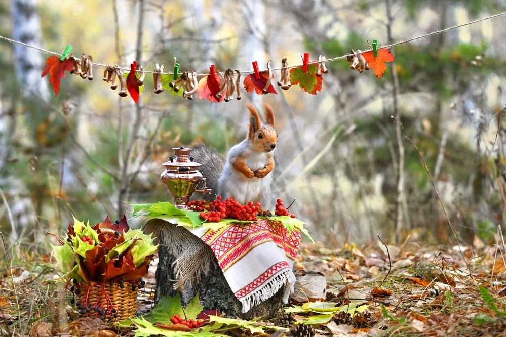 Опять гости?