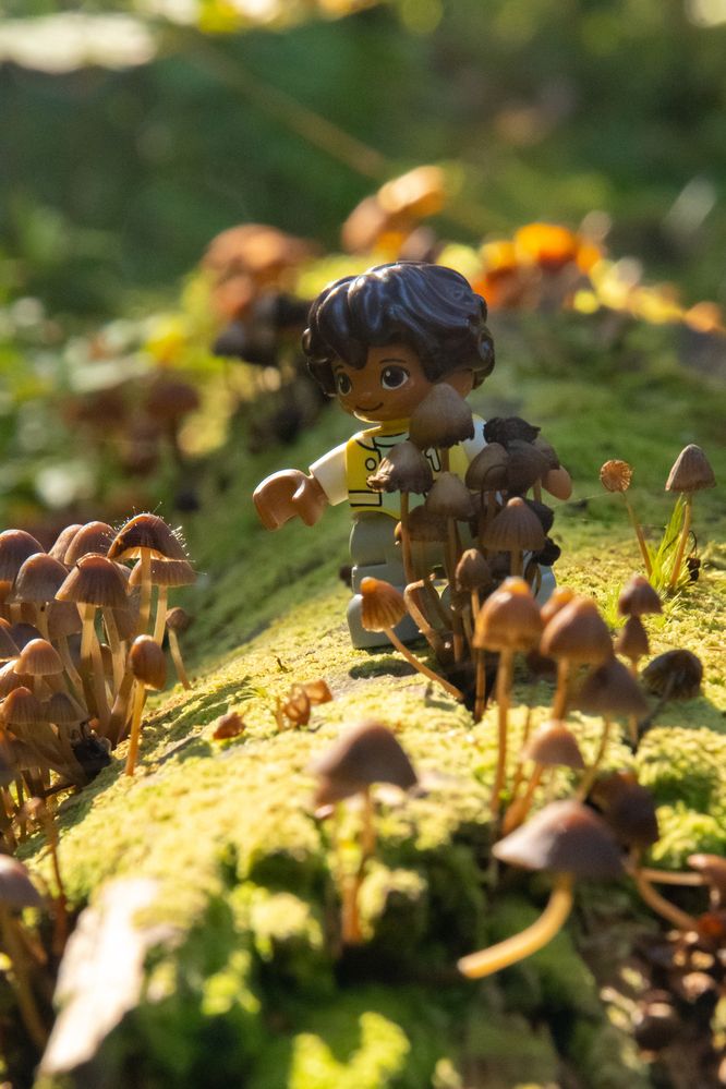 Photograph by Ксения Малютина