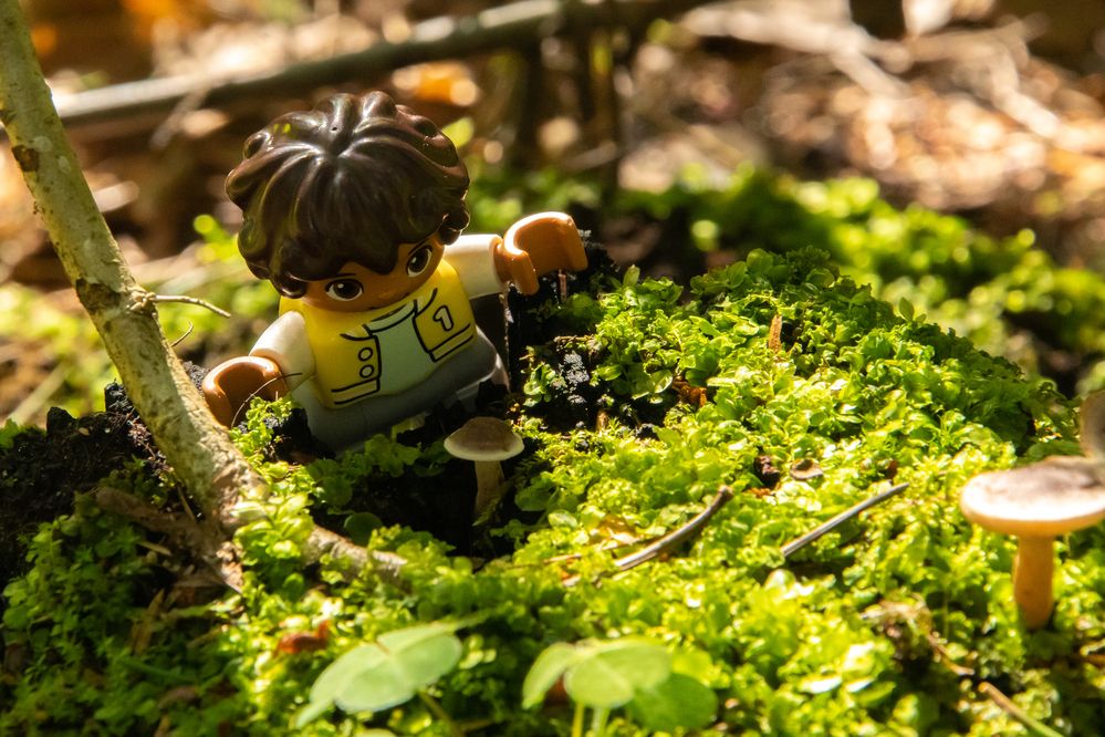 Photograph by Ксения Малютина