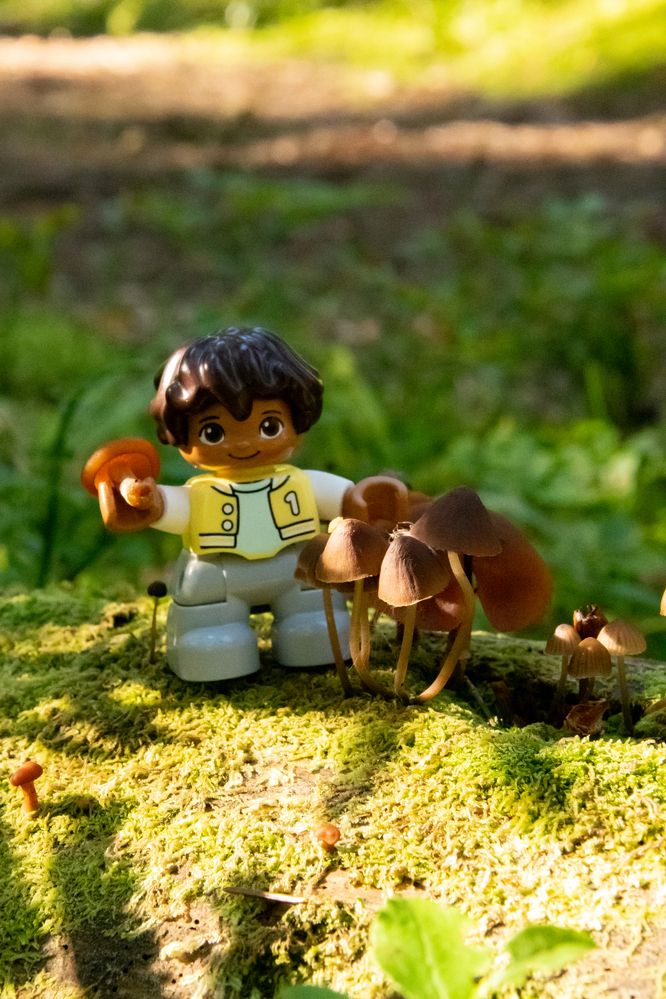 Photograph by Ксения Малютина