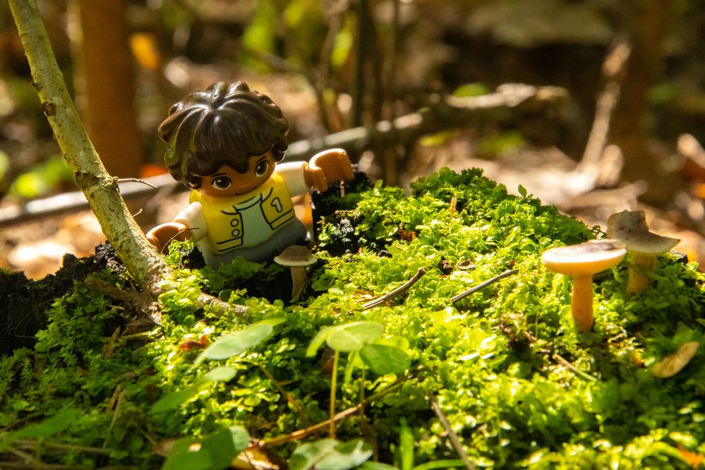 Photograph by Ксения Малютина