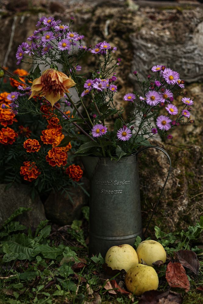 Photograph by Елена Одынец