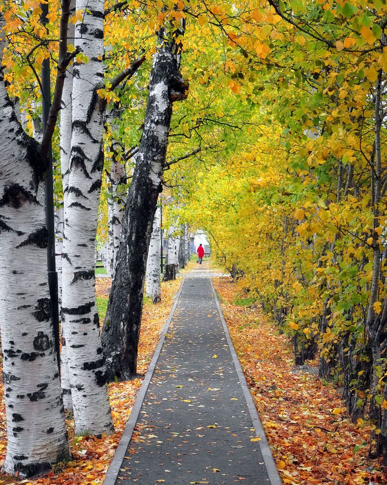 Photograph by Александр Титов