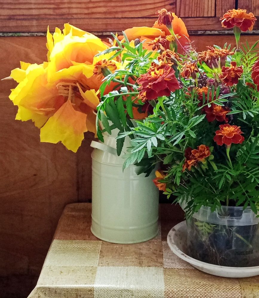 Photograph by Sergey Kurkov-Tarkovsky