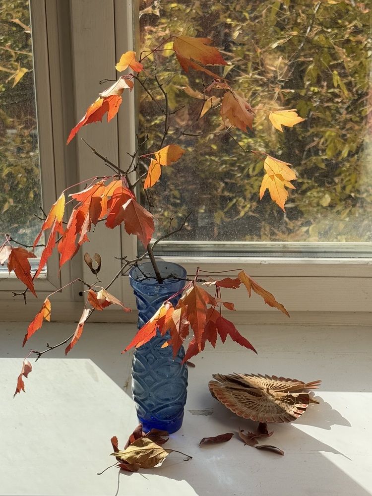 Photograph by Владислав Рубцов