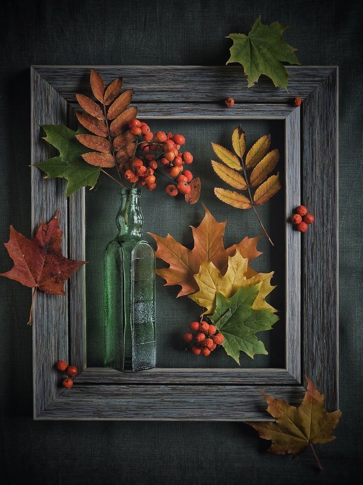 Photograph by Ольга Захарикова