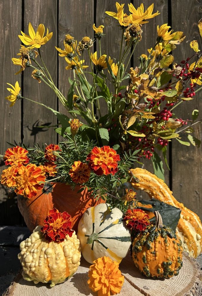 Photograph by Елена Власова