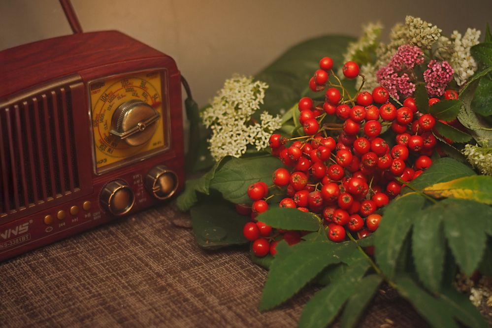 Photograph by Светлана Гордиенко