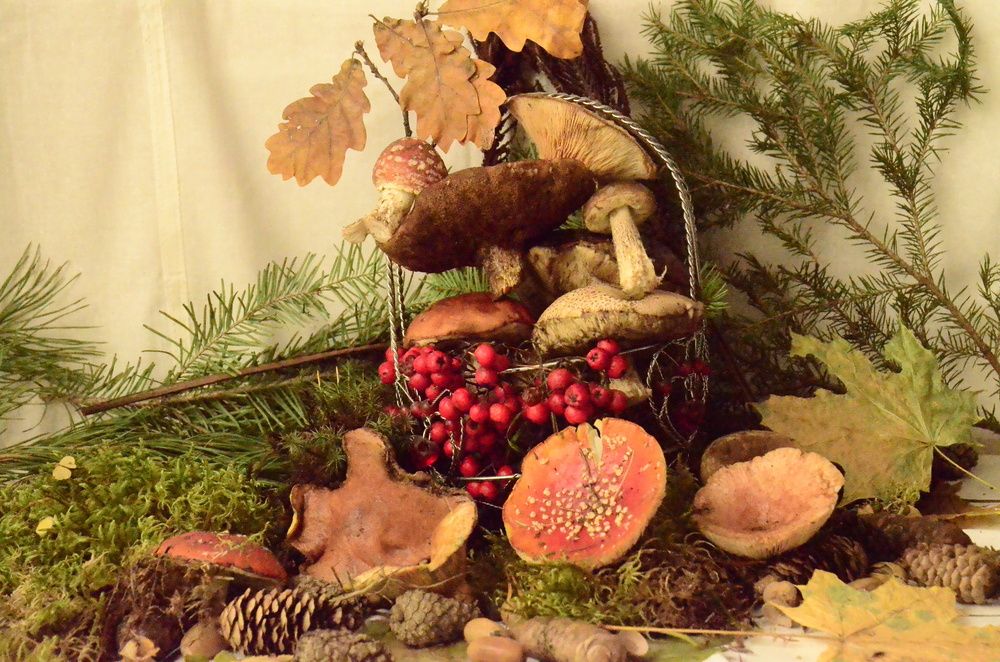 Фотография автора Алексей Власов