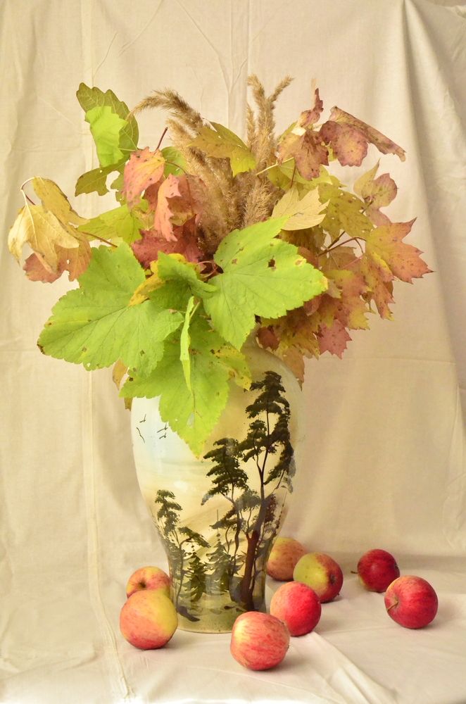 Фотография автора Алексей Власов