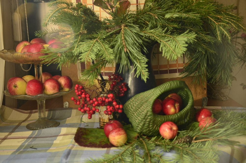 Фотография автора Алексей Власов