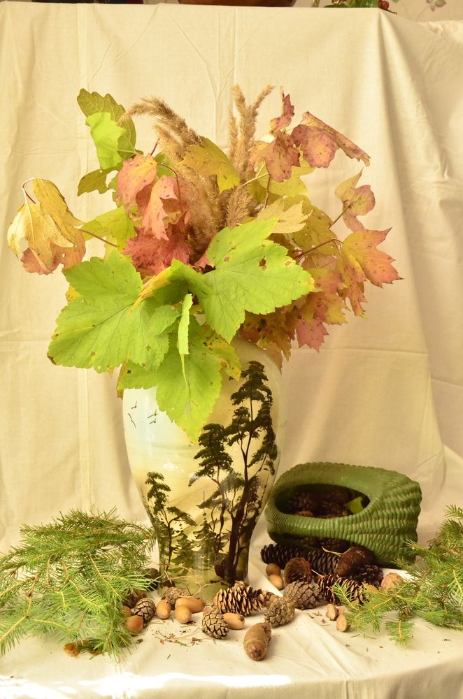 Фотография автора Алексей Власов