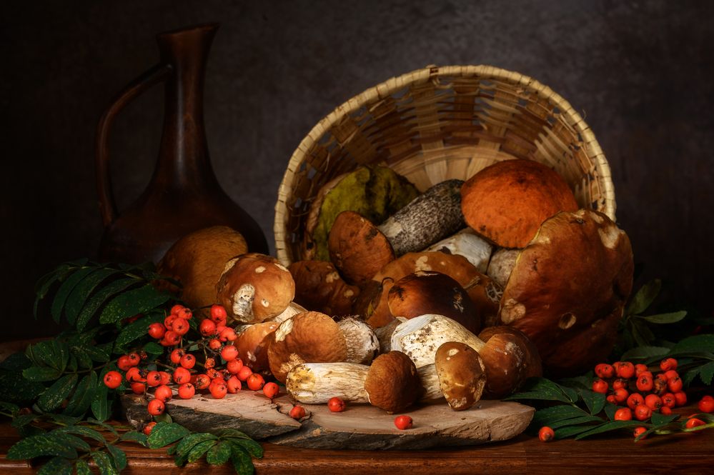 Photograph by Andrey Nuzhdin