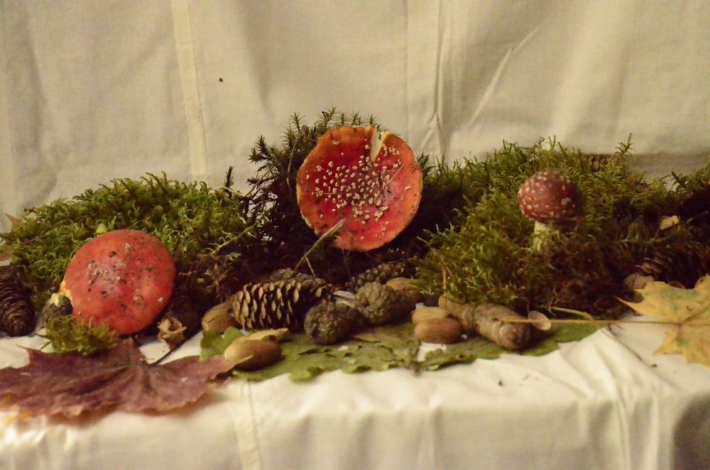 Фотография автора Алексей Власов