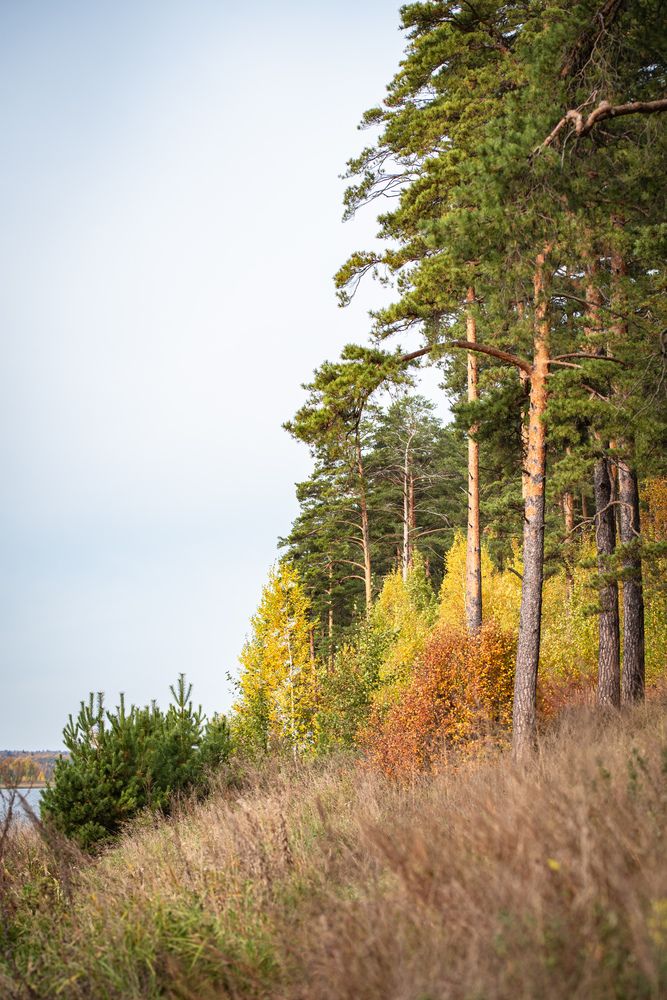 Photograph by Ксения Шилина