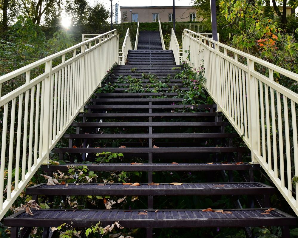 Photograph by Николай Абакумов