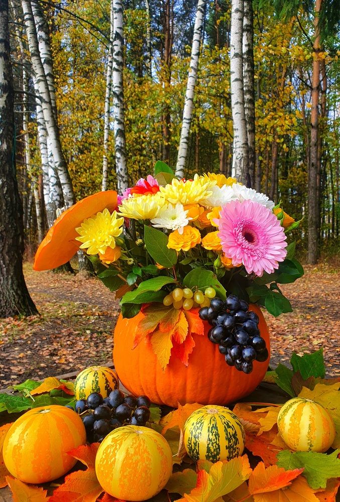 Красивая осень