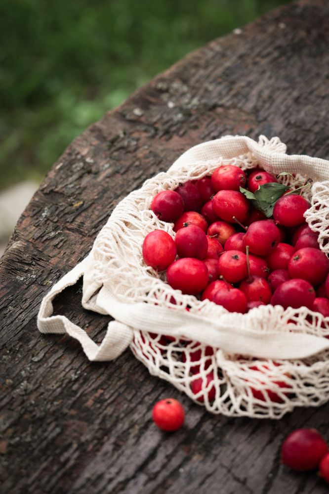 Photograph by Савиных Дарья