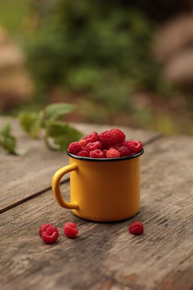 Photograph by Савиных Дарья