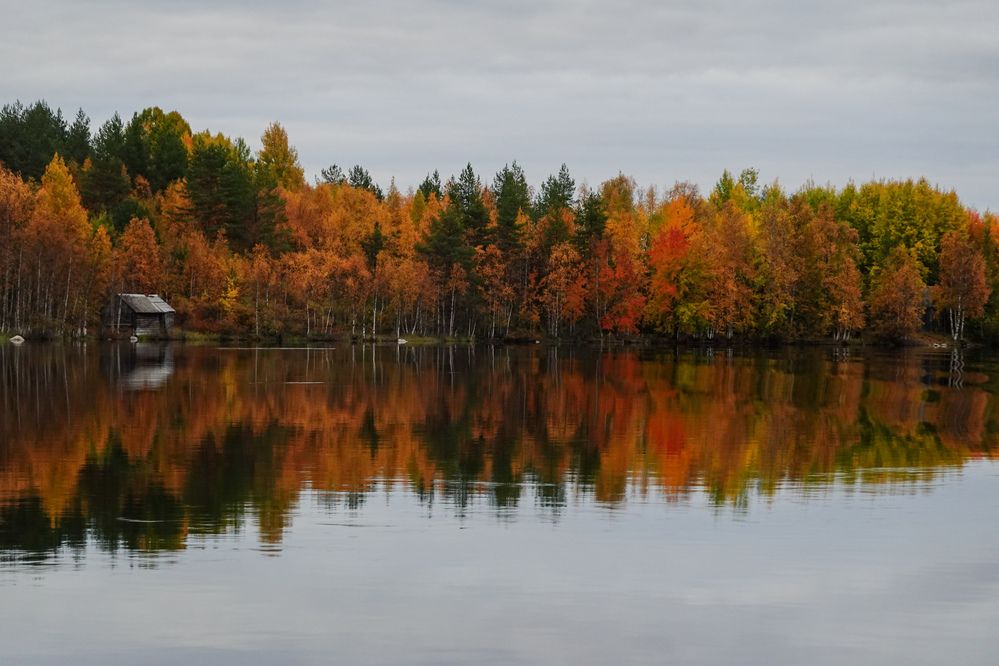 Photograph by Светлана Каравайская