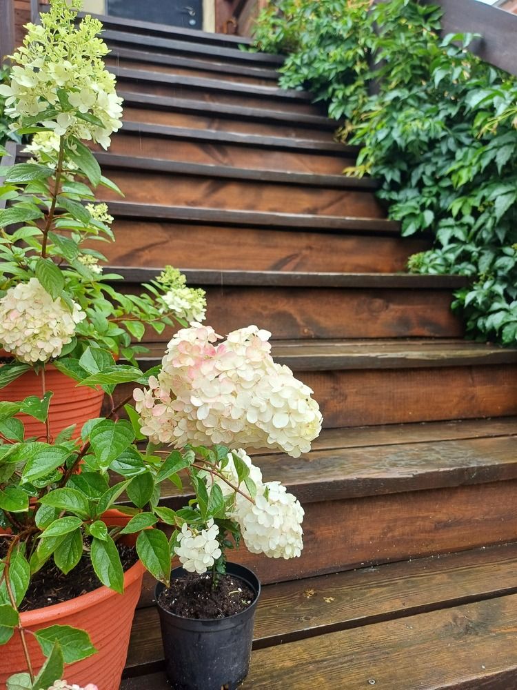 Photograph by Anna Grinkevich