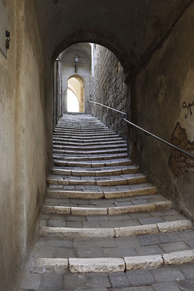 Photograph by Одаренко Ольга