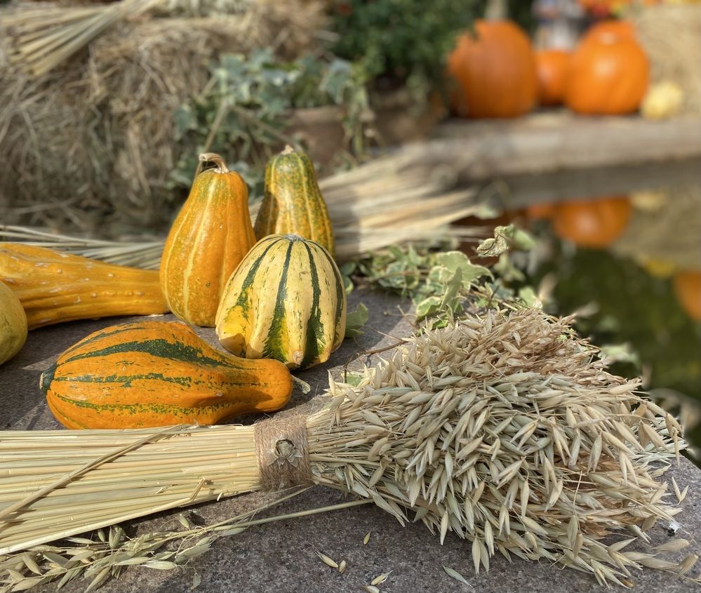 Богатый урожай