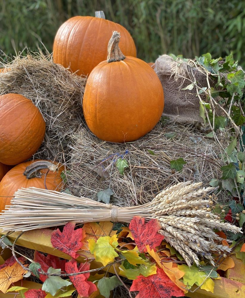 Фотография автора Елена Чарковская