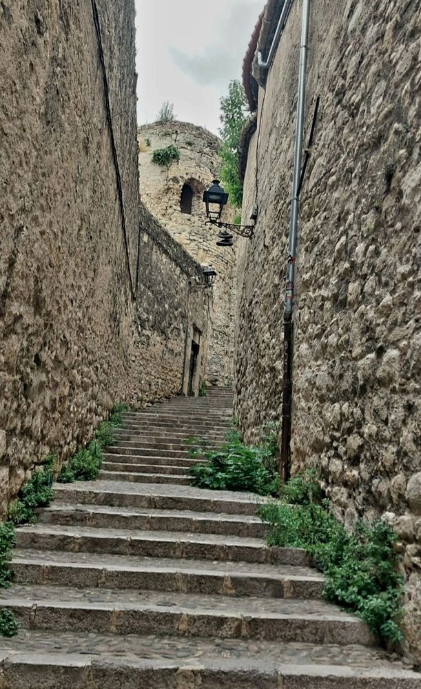 Photograph by Евгений Савулькин