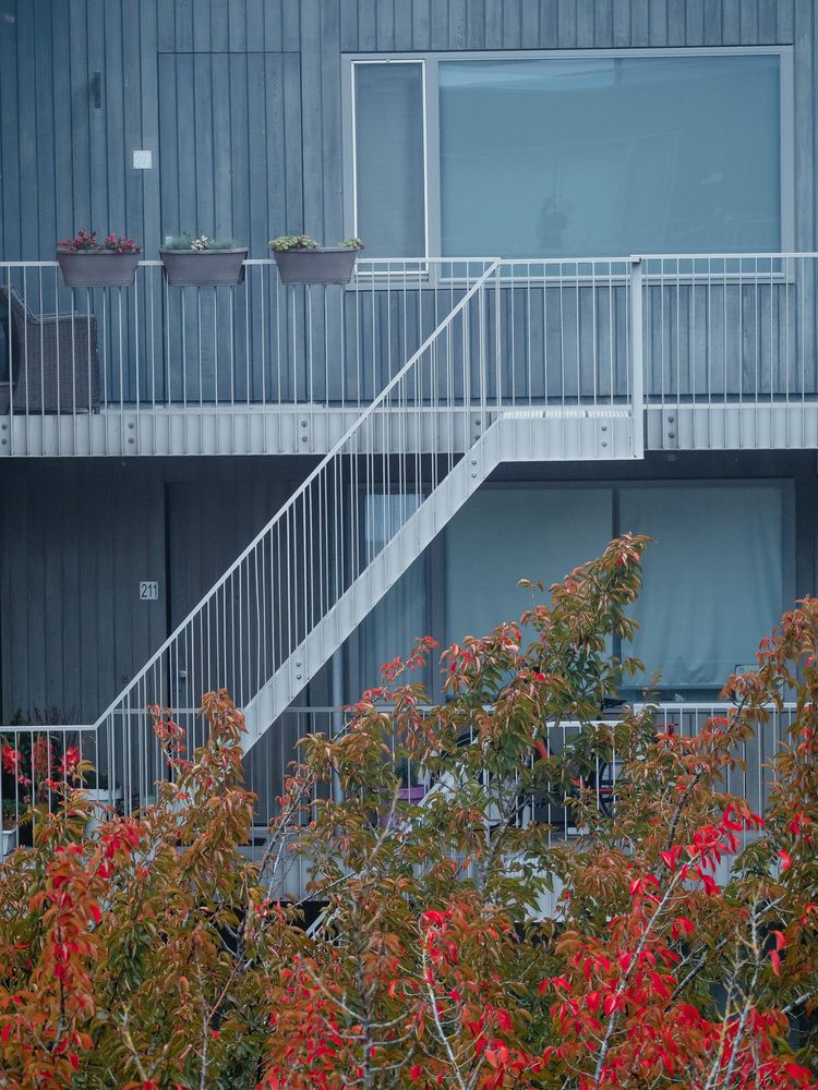 Photograph by Ирина Протченко