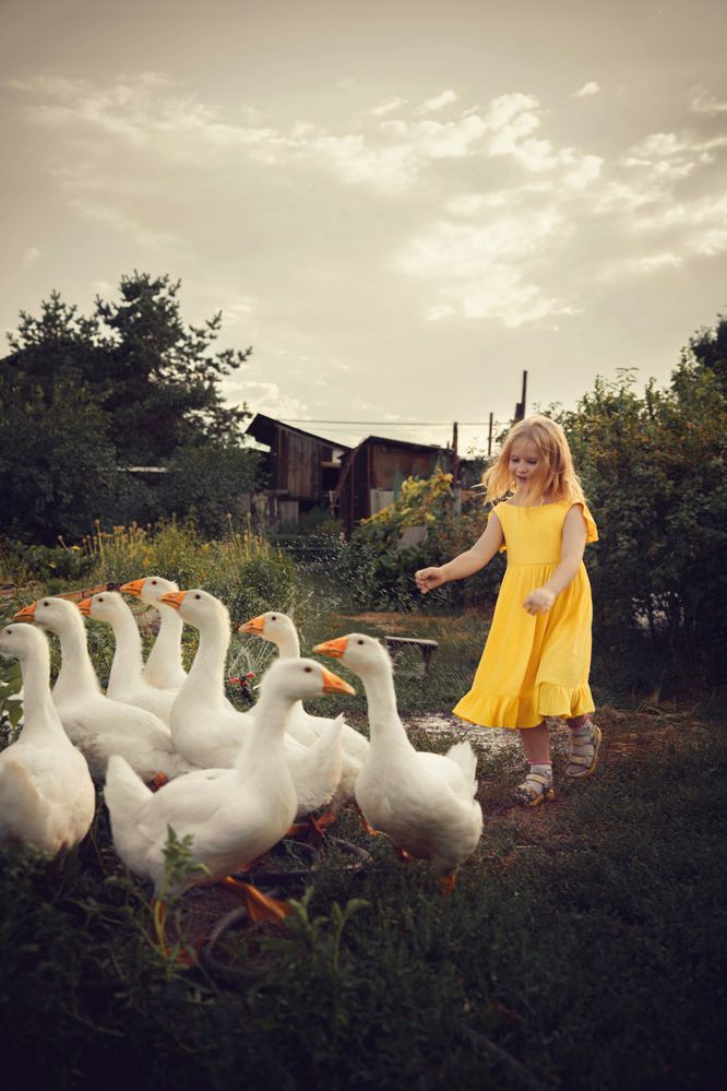 Photograph by Наталья Александрова