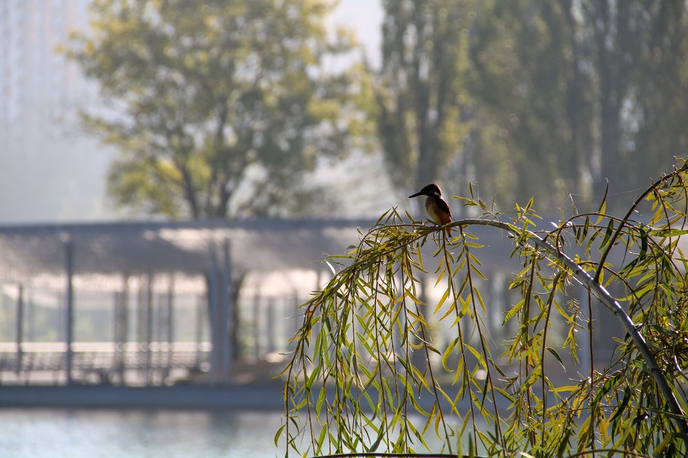 Photograph by Владимир Ли