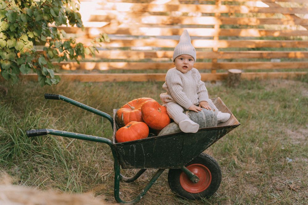 Photograph by Елена Воронина