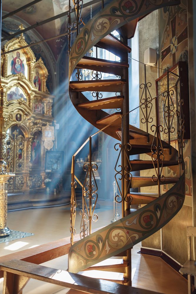 Photograph by Перепёлкина Анастасия