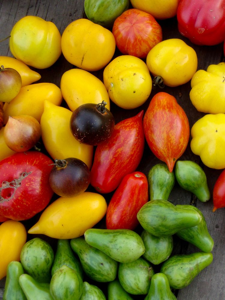 Photograph by Ксения Дудкина