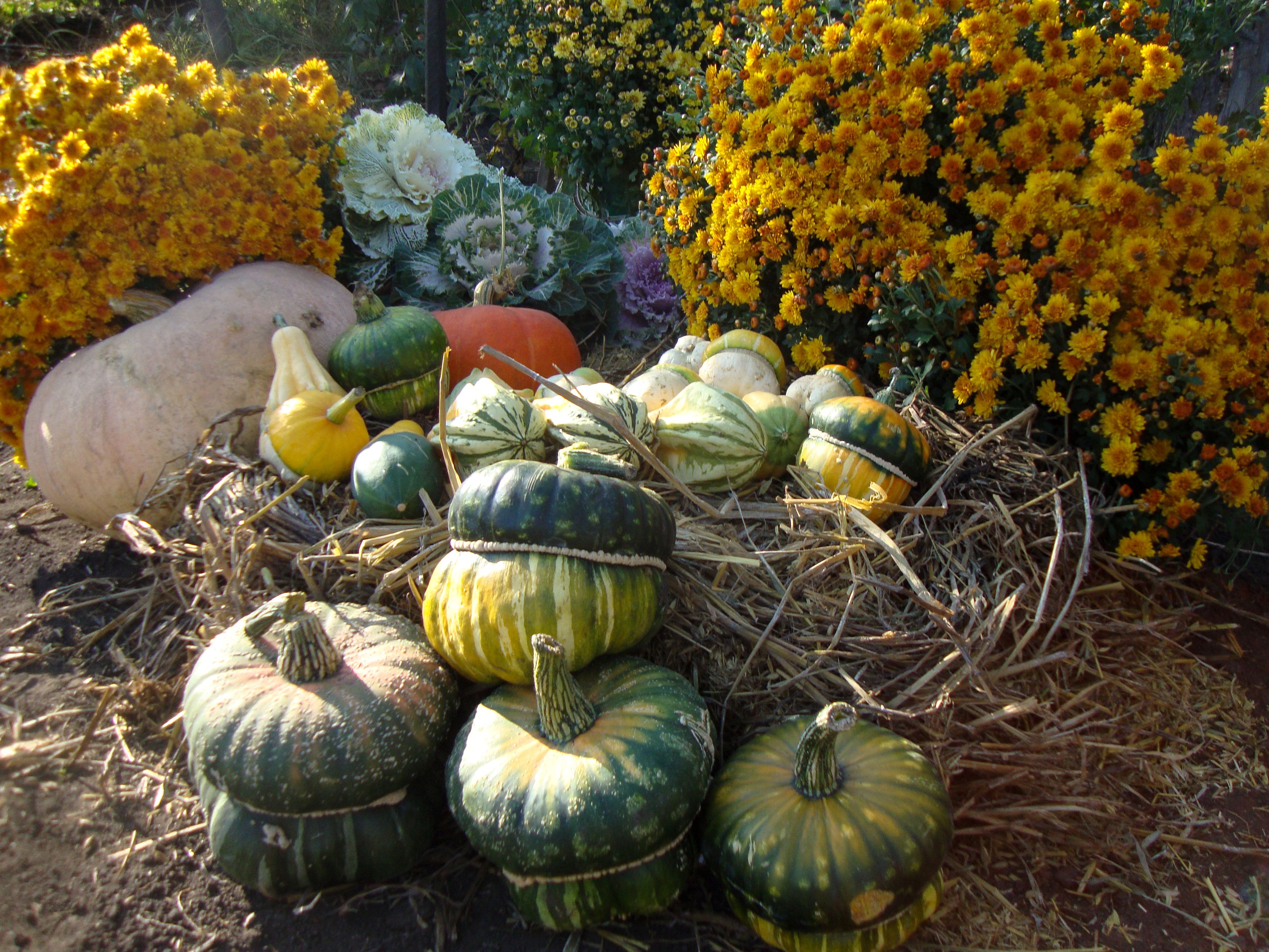 Photograph by Ксения Дудкина