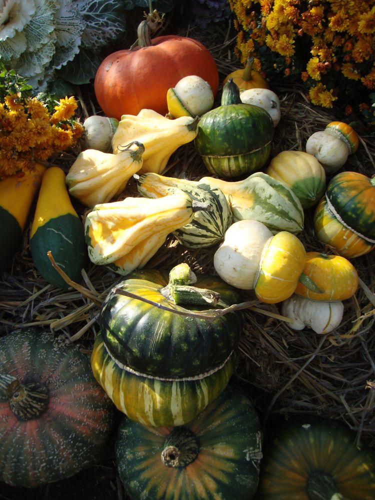 Photograph by Ксения Дудкина