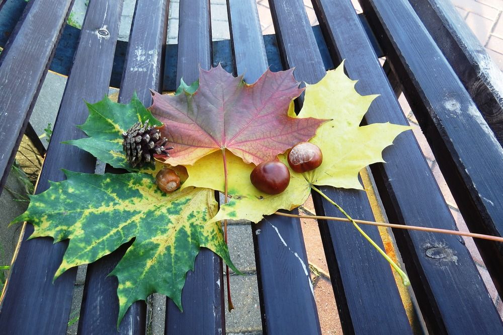 Натюрморт на лавочке