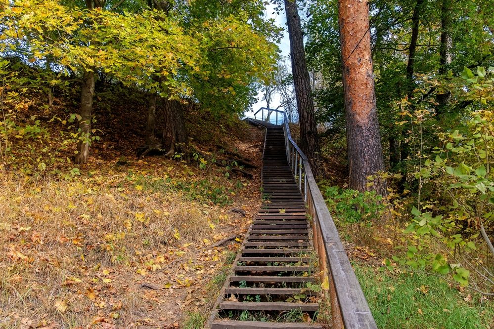 Photograph by Михаил Косолапов