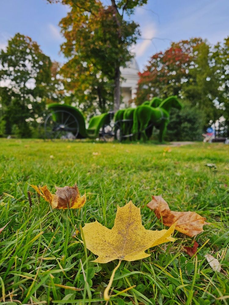 Photograph by Александр Русин