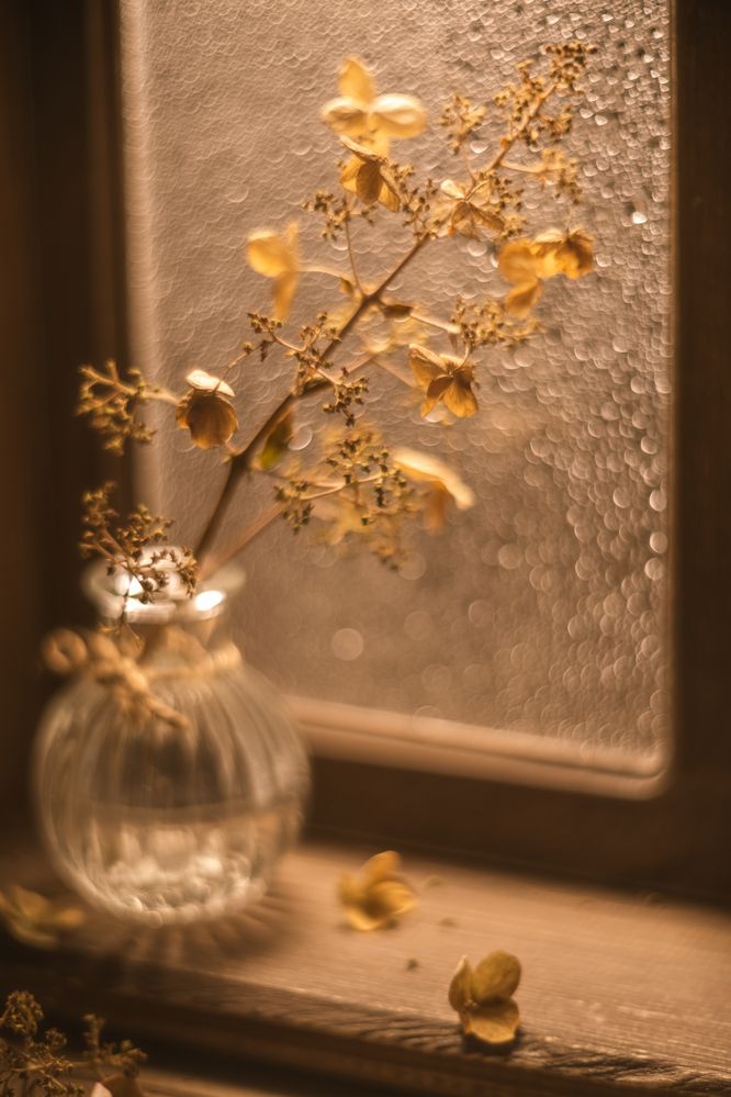 Photograph by Ольга Ильина