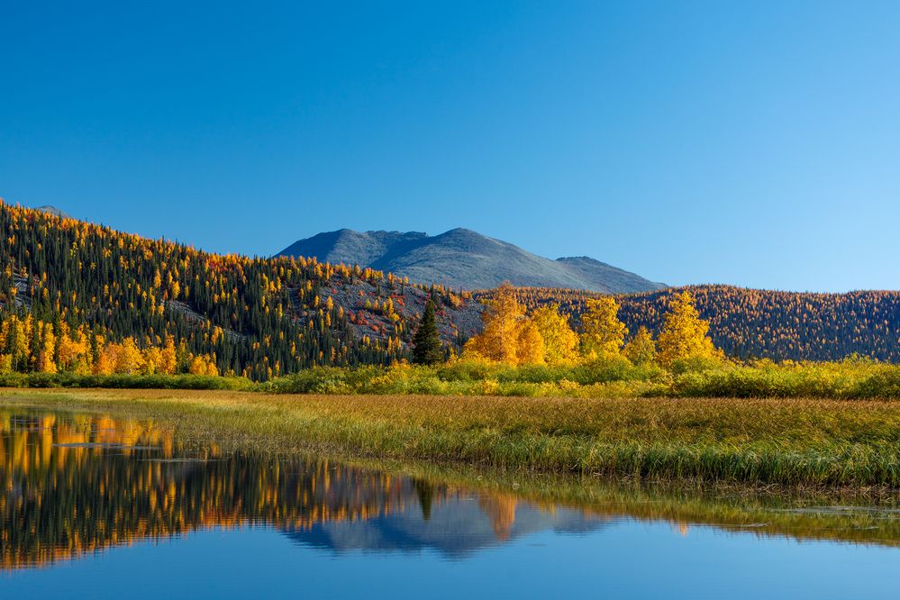 Photograph by Сергей Фомин