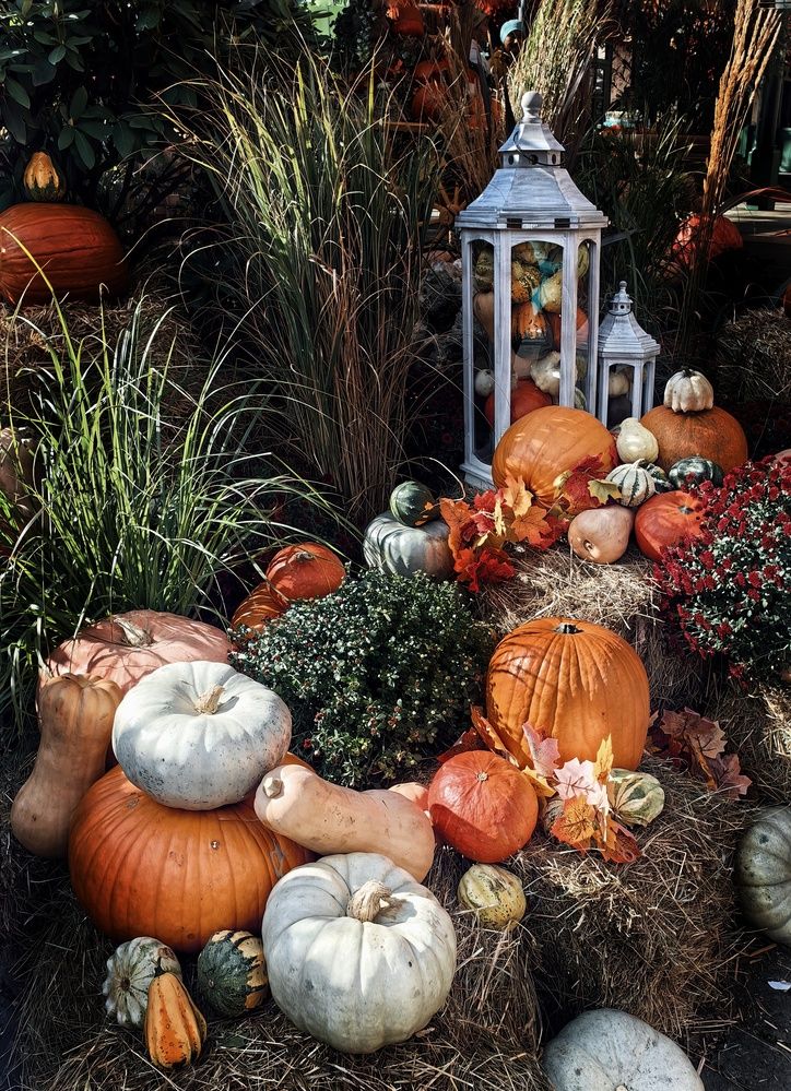 Photograph by Ярославна