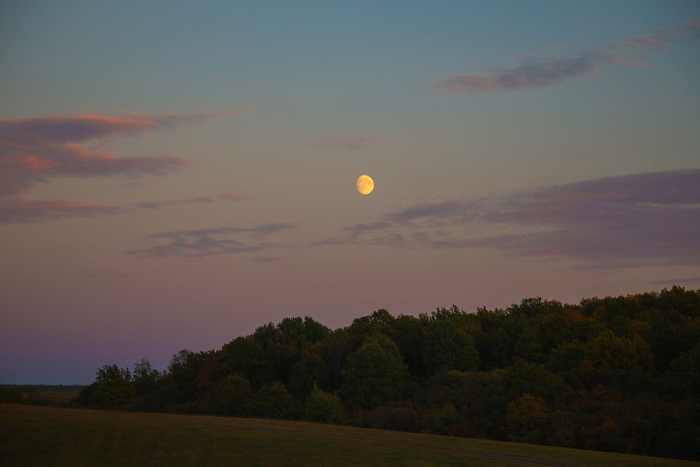 Фотография автора Иван Безрядин