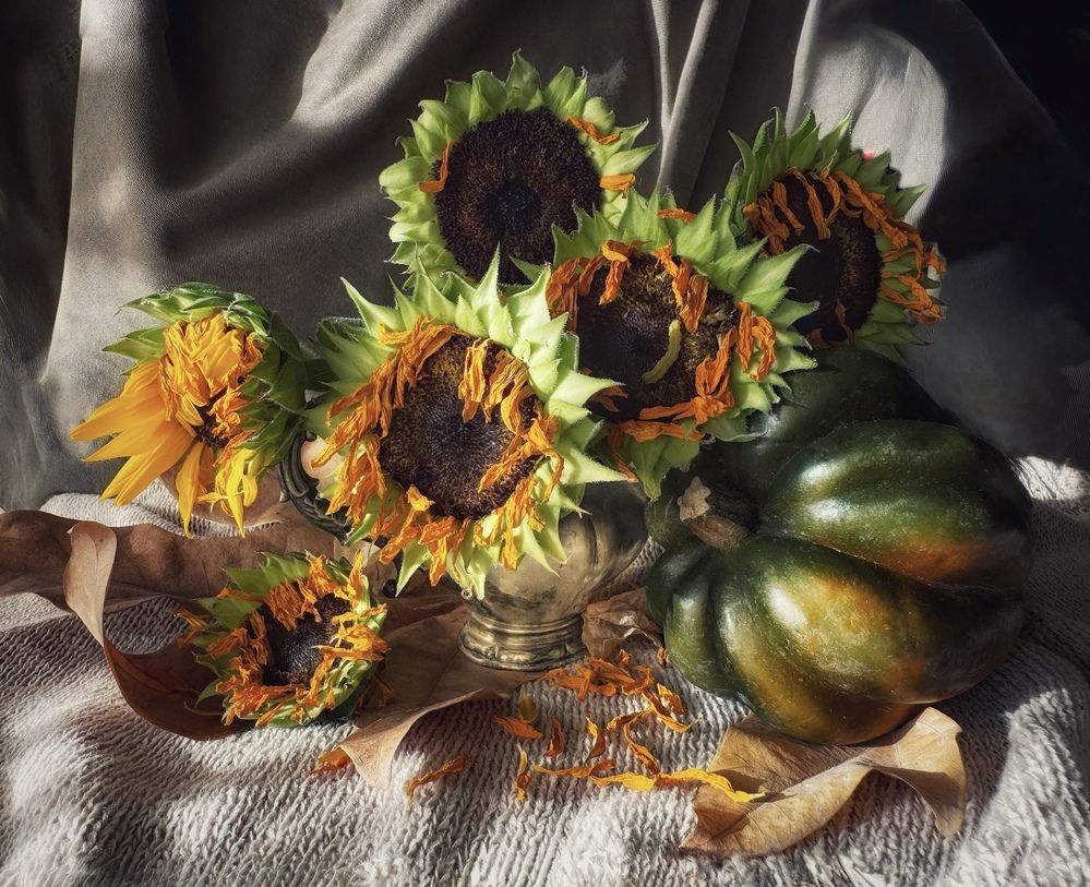 Photograph by Юлия Порфирьева