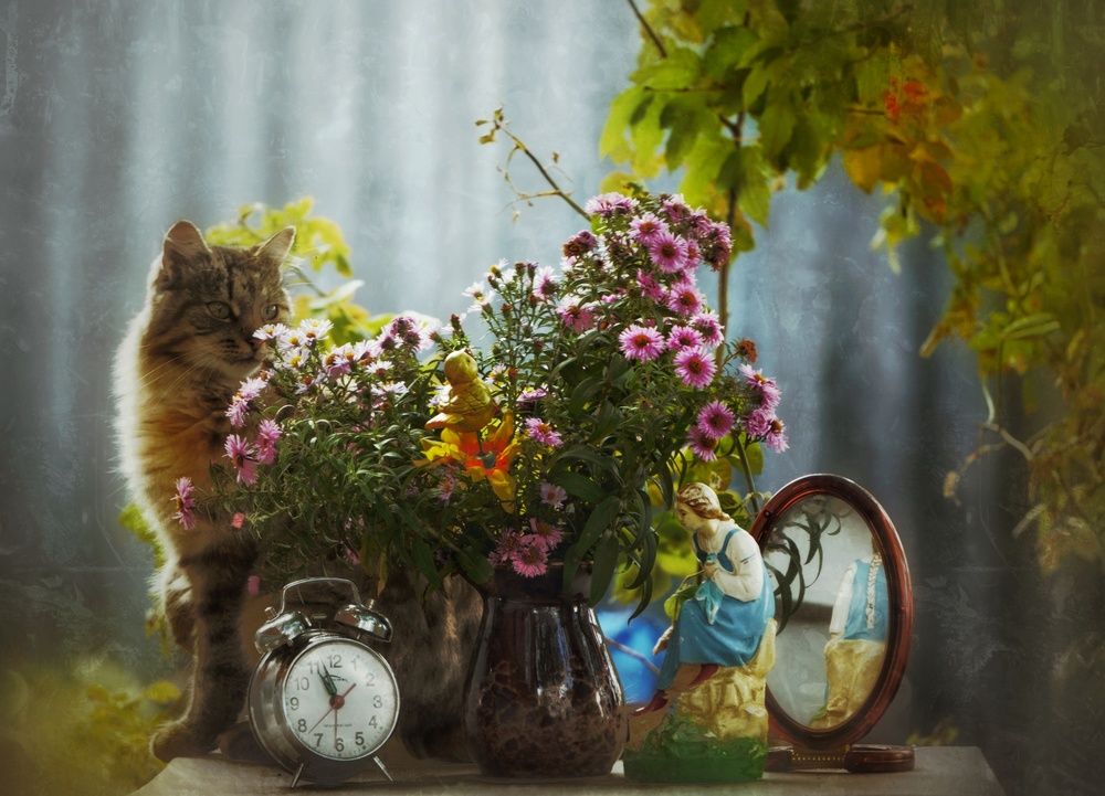 Photograph by Елена