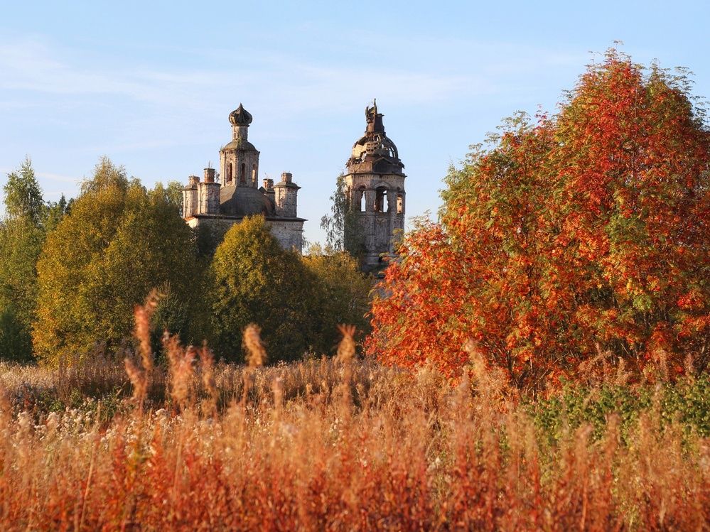 Фотография автора Андрей Шестаков