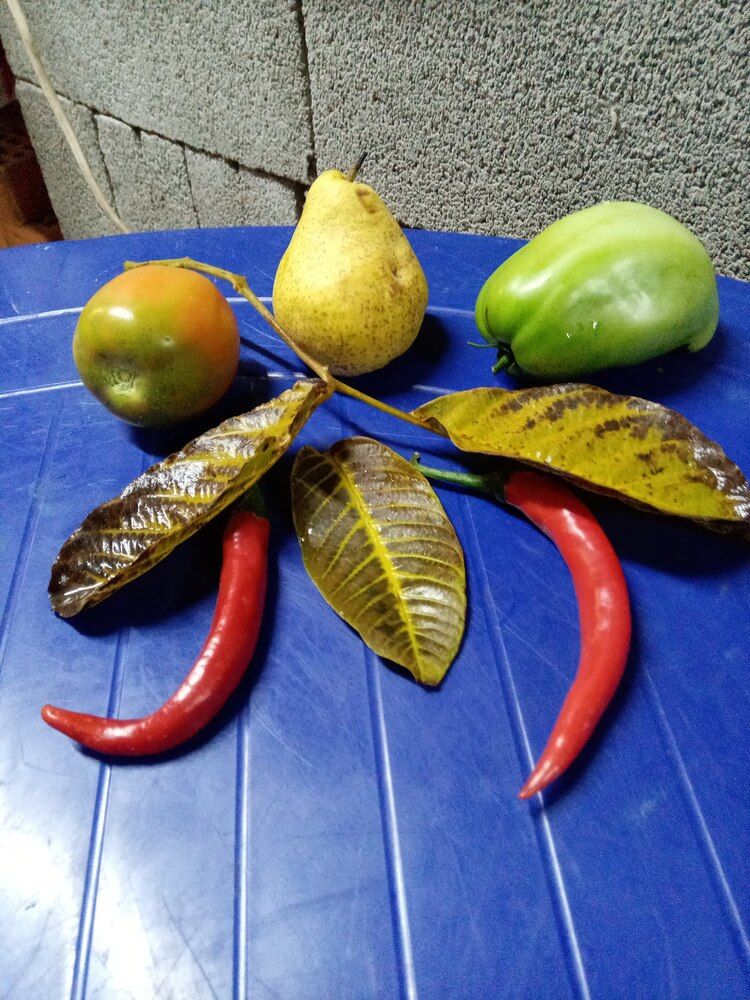 Photograph by Татьяна Пальчикова