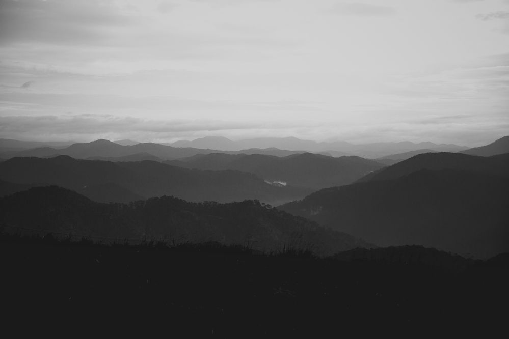 Photograph by Vinh Phan